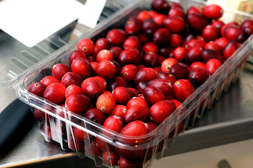 Hạt giống việt quất dây leo nảy mầm ở 20 - 25 độ C, trong khoảng thời gian 10 - 20 ngày. Khi cây phát triển, nhiệt độ thích hợp là 18 -35 độ C. Sau khoảng 140 - 150 ngày, Cranberry cho thu hoạch quả.