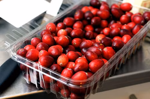 Hạt giống việt quất dây leo nảy mầm ở 20 - 25 độ C, trong khoảng thời gian 10 - 20 ngày. Khi cây phát triển, nhiệt độ thích hợp là 18 -35 độ C. Sau khoảng 140 - 150 ngày, Cranberry cho thu hoạch quả.