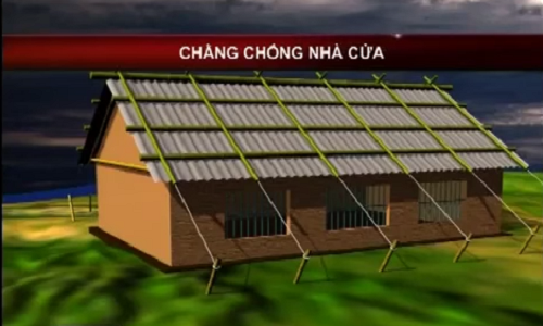 Với nhà mái tôn, tấm lợp xi măng, bạn đặt các thanh chặn ngang bằng gỗ hoặc thép lên mái, cách nhau khoảng 1m. Đặt tiếp giằng chữ A cách nhau 2,5m lên thanh chặn. Cột thanh chặn và thanh giằng bằng dây thép, dây chạc chắc chắn.