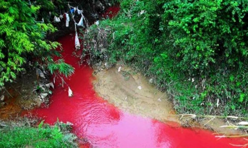 Suoi mau hai hung bat ngo xuat hien o Dien Bien-Hinh-2