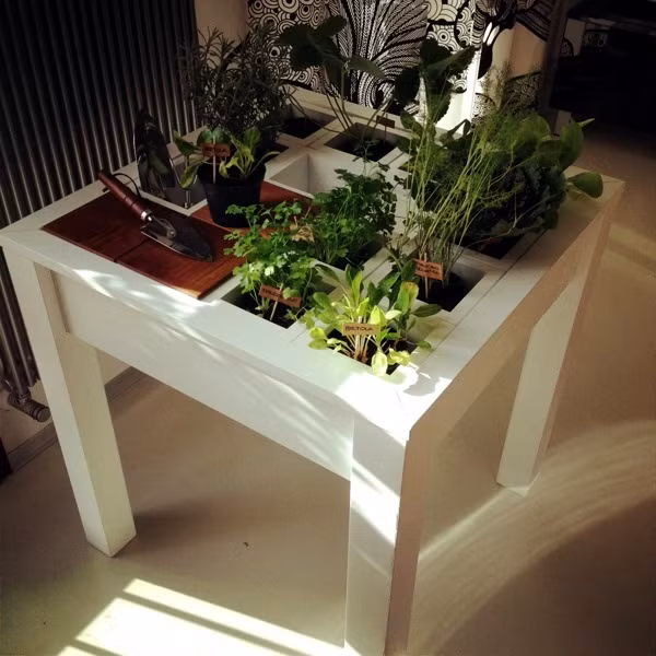 Phá cách hơn, bạn có thể trồng cây lên mặt bàn. Nhưng nên chọn những loại cây sống được trong nhà và không quá cầu kỳ chăm sóc như sen đá, lô hội, xương rồng, cỏ.