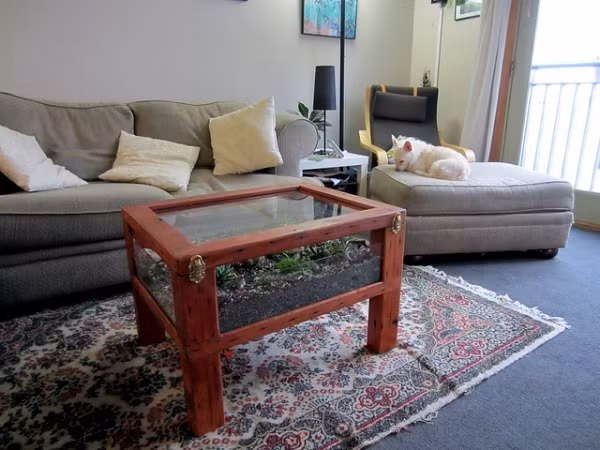 Ngay dưới chiếc bàn ở phòng khách mà một khu vườn mini sẽ khiến bất cứ ai cũng bất ngờ, ấn tượng.