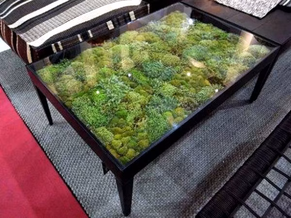 Trồng rêu, cỏ cho chiếc bàn cũng là một ý tưởng hay, trang trí đồ nội thất theo cách riêng của bạn.