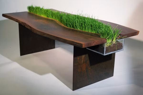 Một đường cỏ xanh khiến chiếc bàn trong phòng trở nên độc đáo, mướt mắt hơn rất nhiều.