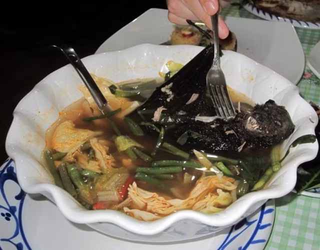 Một hòn đảo nhỏ của quốc đảo Guam còn phục vụ món dơi nấu nước dừa. Con dơi còn sống sẽ được chế biến thành món ăn, để mọi người có thể ăn tất cả mọi thứ trừ xương và răng của chúng.