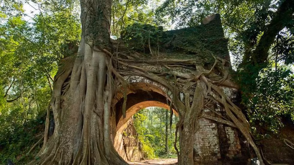 Trên đường đi Đường Lâm, bạn có thể rẽ vào thăm thành cổ Sơn Tây (thành phố Sơn Tây - Hà Nội). Giá vé vào cổng dao động từ 20.000 đồng/người.