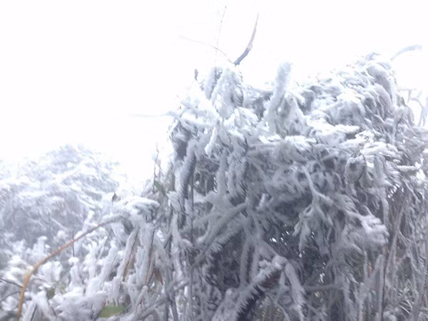 Những con đường, mái nhà, cỏ cây được phủ trắng bởi tuyết sau một đêm khiến nhiều du khách bất chấp cái rét 0 độ C để ngắm cảnh, chụp ảnh lưu niệm. Theo nhiều người đang ở đỉnh Mẫu Sơn, nhiệt độ nơi đây buốt lạnh, xuống khoảng -2 độ C, kèm theo gió và mưa bụi.