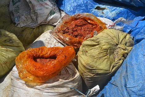 Cuối năm ngoái, đội Quản lý thị trường số 5 phối hợp với lực lượng Cảnh sát môi trường – Công an quận Hai Bà Trưng và Trạm thú y quận Hai Bà Trưng kiểm tra việc đảm bảo vệ sinh thực phẩm tại xưởng chế biến thực phẩm ở Minh Khai (Hà Nội). Tại đây phát hiện các công nhân của cơ sở này đang sản xuất xúc xích thịt lợn có thành phần nguyên liệu là da gà, lòng lợn thối. Đây là nguyên liệu không đúng với thành phần mà cơ sở này đăng ký với cơ quan chức năng.