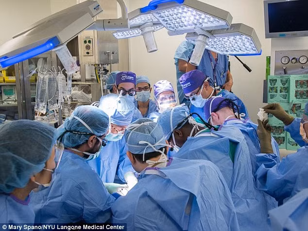 Phần được ghép kéo dài từ đỉnh đầu, phía trên hộp sọ xuống đến xương cổ, bao phủ gần như toàn bộ vùng đầu chỉ để lại một vùng nhỏ da đầu nguyên gốc của bệnh nhân và gồm cả hai bên tai.