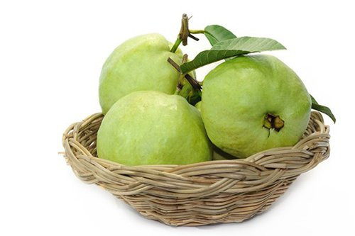 Biện pháp. Cách 1: Sử dụng một số lá ổi rửa sạch và nhai kỹ trong hàm răng, sau đó nhổ ra và súc miệng với nước ấm. Cách 2: Cắt một miếng ổi xanh rồi rắc một ít muối và nhấm nháp nhai chậm cho đến hết. Sau đó, súc miệng với nước sạch để loại bỏ các mảng bám. Cách 3: Nếu bạn có điều kiện hãy tìm mua một loại dầu ổi hoặc nấu nước lá ổi để súc miệng hàng ngày.