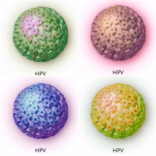 Virus HPV có nguy cơ cao gây ung thư là HPV chủng 16 và 18. Ngoài ra, 11 chủng HPV khác cũng có thể gây ra bệnh ung thư cổ tử cung cho chị em.