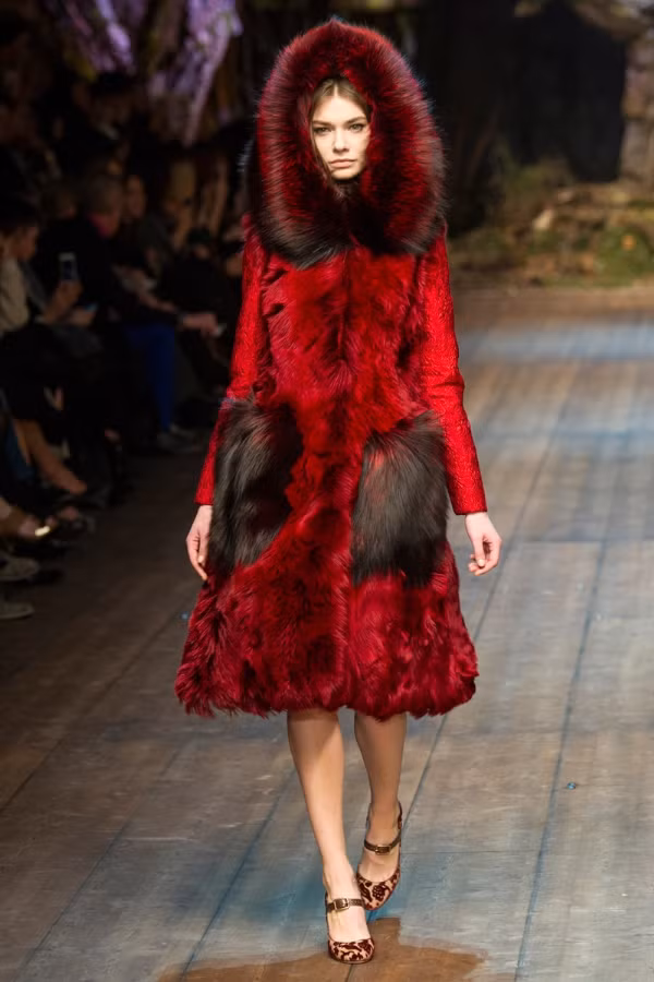 Để bảo quản tốt trang phục gắn lông thú tại nhà: chải mượt phần lông thú và đem chúng đi hấp thay vì giặt