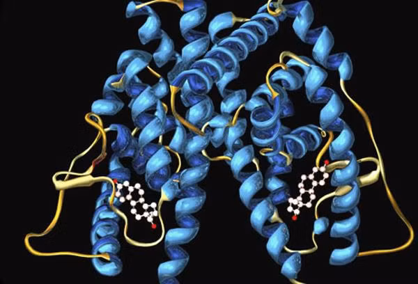 Sinh thiết vú. Sinh thiết vú cung cấp một mẫu mô mà các bác sĩ sử dụng để chẩn đoán và xác định các bất thường trong các tế bào tạo nên các cục u vú hoặc thay đổi vú bất thường khác. Và sinh thiết vú có thể giúp xác định có hay không cần phải phẫu thuật bổ sung hoặc điều trị khác.