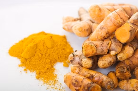 Củ nghệ. Nghiên cứu mới của các nhà khoa học Mỹ tại ĐH Arizona được công bố trên tạp chí PLOS One cho thấy hoạt tính curcumin trong củ nghệ có thể ngăn chặn tế bào ung thư trực tràng di căn. Các nhà khoa học phát hiện cucurmin trong củ nghệ có thể ngăn chặn sự phát triển của protein cortactin trong ung thư trực tràng.