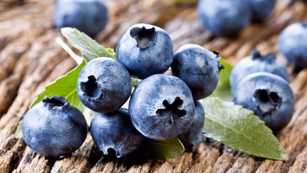 Quả việt quất. Một nghiên cứu cho biết hợp chất pterostilbene có trong quả việt quất, giúp ngăn ngừa hiệu quả ung thư trực tràng. Cụ thể trong nghiên cứu này, 9 con chuột có ung thư trực tràng được tiêu thụ một chế độ ăn uống cân bằng bao gồm pterostilbene. Sau 8 tuần, các nhà nghiên cứu nhận thấy những con chuột nhận được chiết xuất từ quả việt quất có tổn thương tiền ung thư trong đại tràng ít hơn 57%.