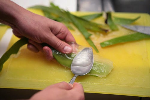 Tinh chất lô hội. Mặt nạ lô hội còn giúp duy trì mức pH cân bằng trên da. Bạn chỉ cần dùng gel lô hội thoa lên vùng chữ T để kiểm soát tình trạng tiết chất dầu, hoặc đơn giản hơn là gọt bỏ vỏ và thái lát mỏng phần thịt của nhánh lô hội rồi đắp chúng lên da trong khoảng 15 phút trước khi rửa mặt lại bằng nước lạnh.