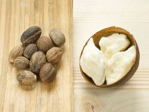 Massage kích thích lông mày mọc rậm với bơ hạt mỡ. Áp dụng ruột quả bơ hạt mỡ và massage nhẹ nhàng lên lông mày của bạn. Nguyên liệu này sẽ giúp cung cấp độ ẩm, tăng độ bền và tuổi thọ cho các sợi lông mày của bạn. Áp dụng phương pháp này 2 lần/tuần, sau 1 tháng bạn sẽ cảm nhận hiệu quả rõ rệt.