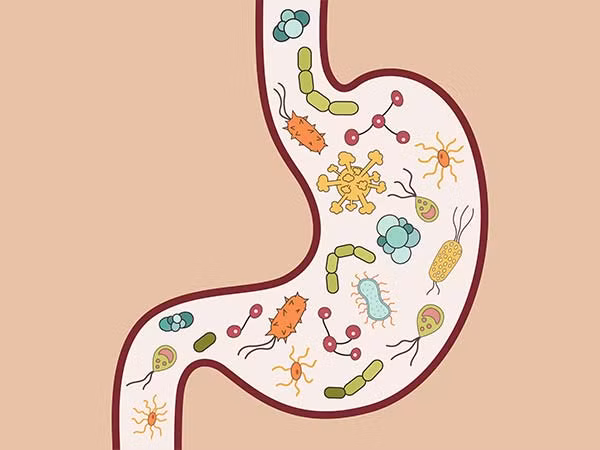 Ký sinh trùng đường ruột xảy ra nhiều ở những nước kém phát triển. Theo WHO, có khoảng 3 tỷ người trên thế giới bị giun ký sinh trong đường ruột.