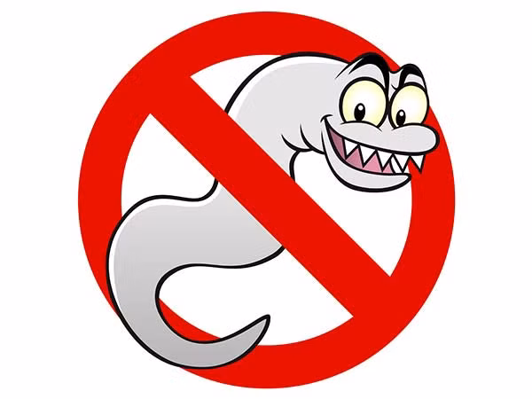 Các loại thảo dược có thể loại bỏ ký sinh trùng đường ruột bao gồm bạc hà, đinh hương, tỏi, hoa hồi, lá ngải cứu. Tuy nhiên, bạn cần phải tham khảo ý kiến bác sĩ trước khi áp dụng bất cứ biện pháp tẩy giun nào.