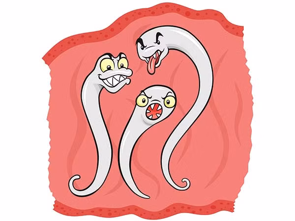 Bạn có thể đi xét nghiệm phân nếu nghi ngờ có giun sán ký sinh trong cơ thể. Khi đó, bác sĩ sẽ kê đơn theo toa điều trị cho chứng bệnh nhiễm ký sinh trùng đường ruột.