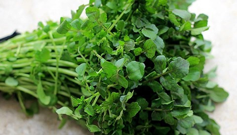 Cải xoong. Loài rau này vô cùng hiệu quả trong việc giải độc da và cơ thể vì nó chứa một hợp chất rất độc đáo mà các loại rau khác không có. Cải xoong có vị hăng và cay giống như mù tạt, giúp tăng cường lưu thông máu, đẩy mạnh quá trình bài tiết và đào thải độc tố ra khỏi cơ thể.