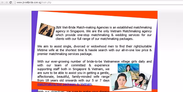 Giao diện trang chủ của Công ty Môi giới Cô dâu Việt J&N có trụ sở ở Singapore (Ảnh chụp màn hình)