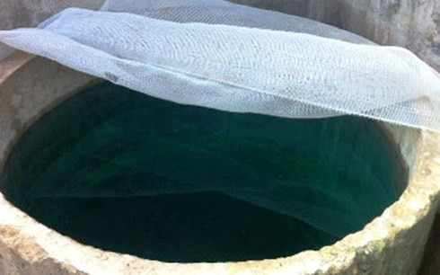 Chi chong do thuoc diet co vao be nuoc nha em dau