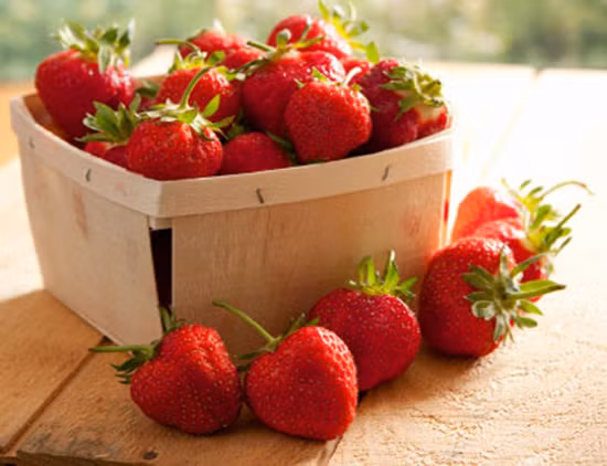 Ngoài ra, với hàm lượng chất axit alpha-hydroxyl khá cao, quả dâu tây sẽ giúp loại bỏ tế bào da chết và giúp cơ thể sản xuất nhiều collagen giữ cho da vừa khỏe vừa đẹp rất tốt cho chúng ta vào mùa đông.