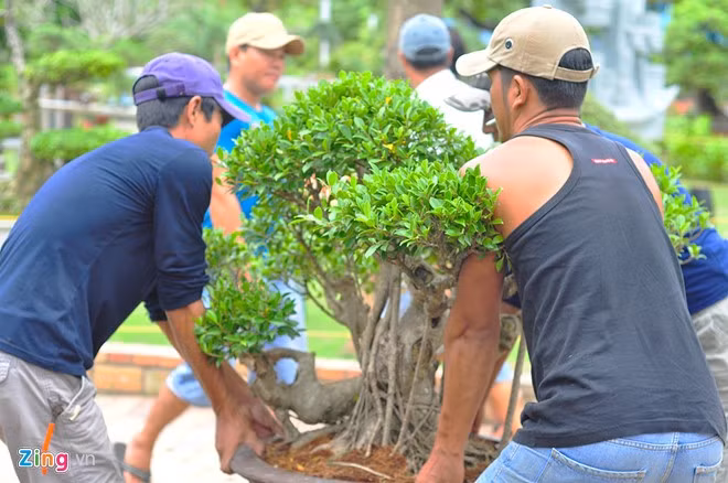 Bà Chu Thị Như Đào, Phó ban tổ chức cho biết chợ có 90 gian hàng, quy tụ trên 100.000 chậu cảnh, bonsai nghệ thuật của các nhà vườn, câu lạc bộ từ tỉnh Bình Dương, Bình Phước, Lâm Đồng, Bình Định, TP.HCM... "Chất lượng cây tốt, được đánh giá cao về nghệ thuật. Về kinh tế, nhiều nhà vườn sở hữu chậu cây cảnh tiền tỷ", bà Đào nói.