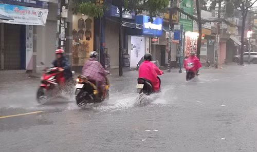 Bat thuong TP.HCM mua nhu trut nuoc ngay giua sang mua dong-Hinh-4