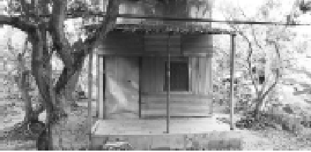 Phat hien nguoi tinh yeu trai tre hon, cu U70 dam da toi tap