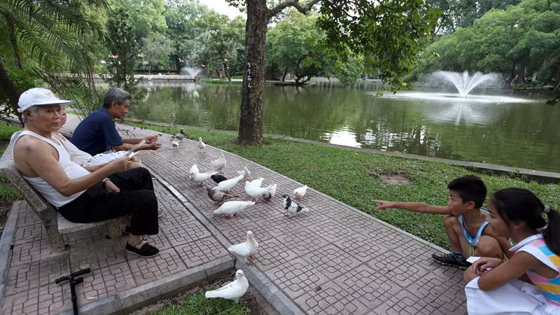 Hai hồ trong công viên Bách Thảo còn được lắp đặt hệ thống đài phun nước và những đàn chim bồ câu rất thân thiện với con người. 