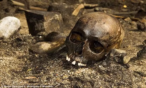 Sau khi thực hiện các kiểm tra, nghiên cứu, các chuyên gia xác định hàng trăm người này bị giết chết vào thế kỷ 1 sau Công nguyên.