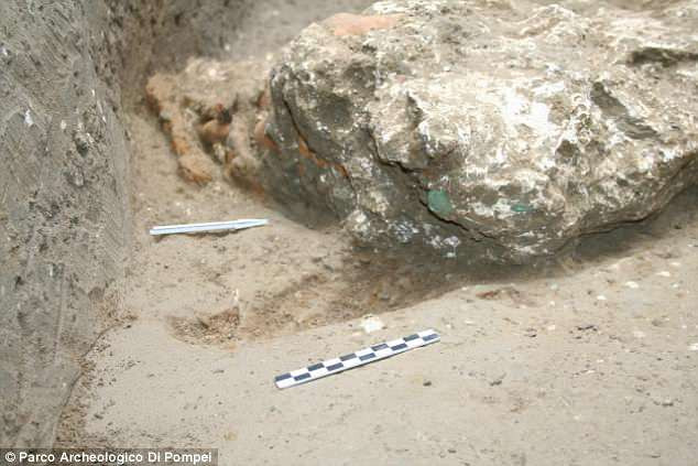 Các chuyên gia cho hay việc tìm thấy xác ngựa chết trong thảm họa núi lửa Vesuvius phun trào năm 79 sau Công nguyên là một phát hiện đáng kinh ngạc.