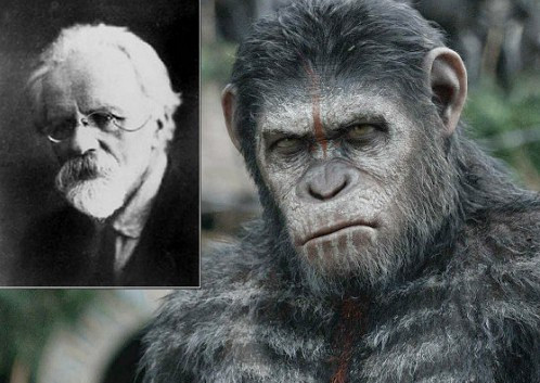 Nhà khoa học người Nga Ilya Ivanovich Ivanov từng thực hiện một loạt thí nghiệm lai tinh tinh với con người. Ông thực hiện thí nghiệm dùng tinh trùng của người để thụ tinh nhân tạo cho tinh tinh cái cũng như dùng tinh trùng của loài linh trưởng để đưa vào con người. Về sau, thí nghiệm vô nhân tính này bị đình chỉ và không bao giờ được phép thực hiện.