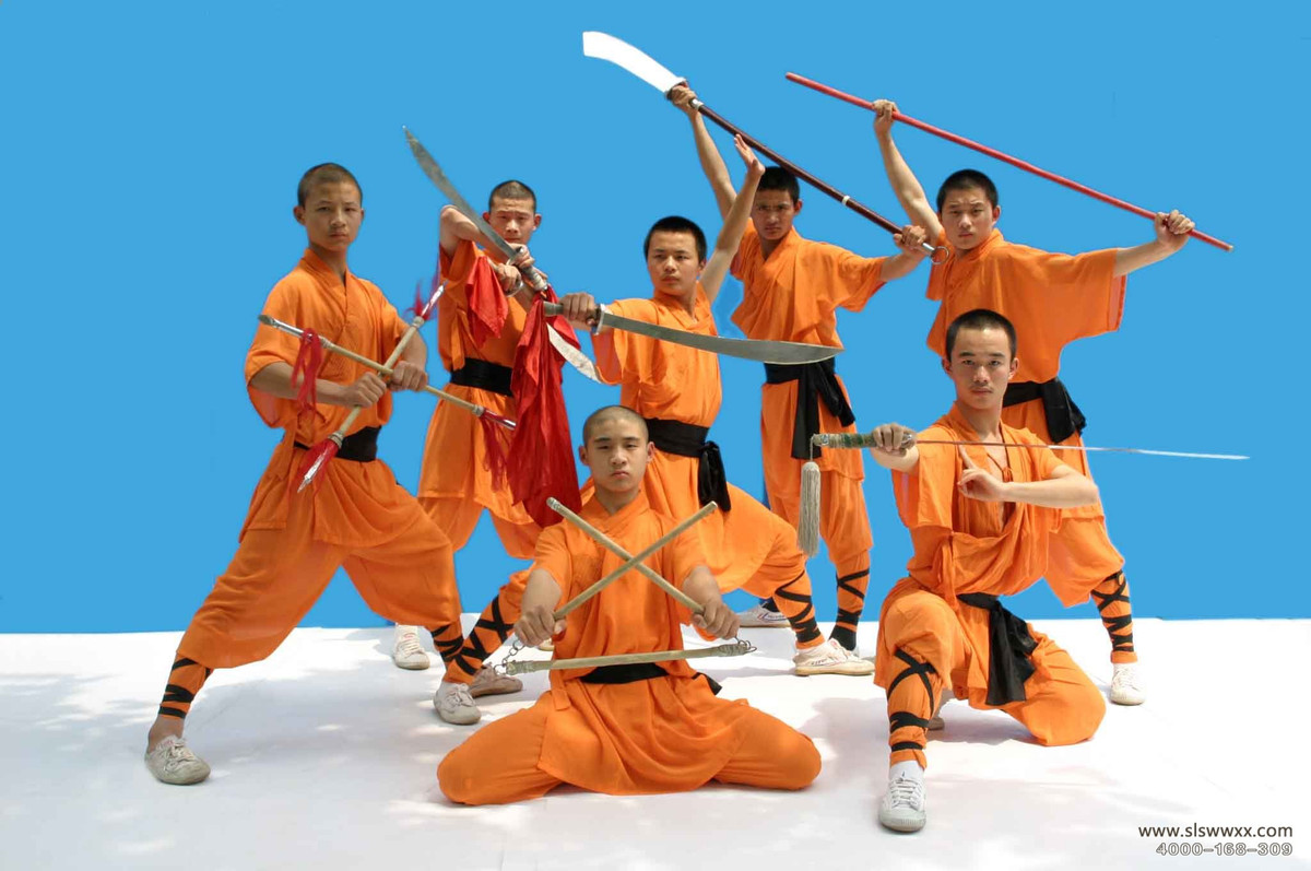 Nhiều võ đường được mở ra nhằm đáp ứng nhu cầu học tập của các môn sinh. Ước tính, mỗi năm có tới 50 võ đường được mở cùng 50.000 môn sinh theo học võ Thiếu Lâm.