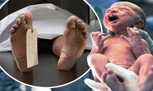 Người đã chết có thể sinh con nhờ công nghệ cấy ghép?