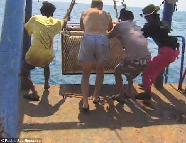 Trong suốt những năm qua, các chuyên gia cố gắng tìm hiểu con tàu trên khởi hành từ đâu và đích đến là nơi nào.