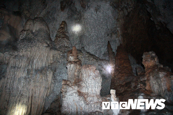 Rắn trú ngụ trên vách đá, rúc vào các thạch nhũ.