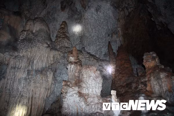 Rắn trú ngụ trên vách đá, rúc vào các thạch nhũ.