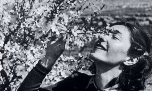 Khi làm nhiệm vụ ở Ba Lan, Krystyna đã thu thập tin tức tình báo về Đức quốc xã rồi gửi về London. Bà cũng cố gắng thuyết phục mẹ rời thủ đô Warszawa nhưng không thành.