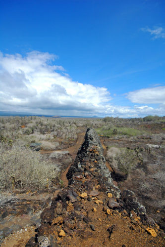 Theo đó, tù nhân này phải đi bộ một quãng đường xa để đến mỏ đá, cắt đá từ núi lửa và mang trở lại địa điểm xây dựng bức tường. Trong quá trình này, rất nhiều tù nhân đã bỏ mạng.