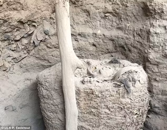 Trong quá trình thực hiện cuộc khai quật quy mô lớn thuộc dự án Ychsma ở Pachacamac, Peru, các chuyên gia thuộc Trung tâm nghiên cứu khảo cổ học của trường Đại học Université libre de Bruxelles (CReA-Patrimoine) phát hiện một khu bảo tồn chứa các phòng tang lễ và xác ướp 1.000 năm tuổi.