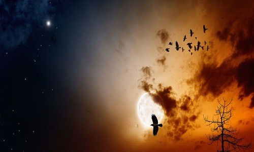 Trong suốt nhiều năm, các nhà khoa học, chuyên gia nghiên cứu cố gắng giải mã hiện tượng kỳ lạ này.