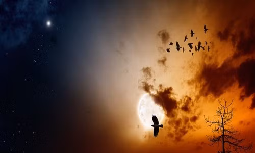 Trong suốt nhiều năm, các nhà khoa học, chuyên gia nghiên cứu cố gắng giải mã hiện tượng kỳ lạ này.