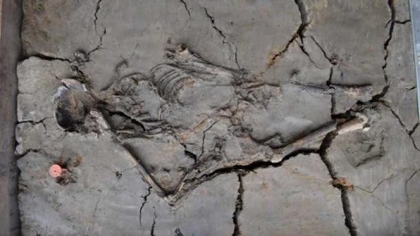 Điều đặc biệt là bên trong ngôi mộ có một bộ hài cốt có hình dáng kỳ lạ. Cánh tay phải của bộ hài cốt người phụ nữ uốn cong một cách kỳ lạ thay vì để thẳng theo tư thế giải phẫu như các bộ xương được khai quật trước đây.