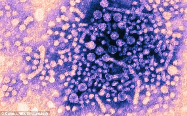 Ông Willerslev và các cộng sự đi đến kết luận trên sau khi nghiên cứu, kiểm tra bộ gen của 304 người sống trong khoảng thời gian từ 200 - 7.000 năm trước.