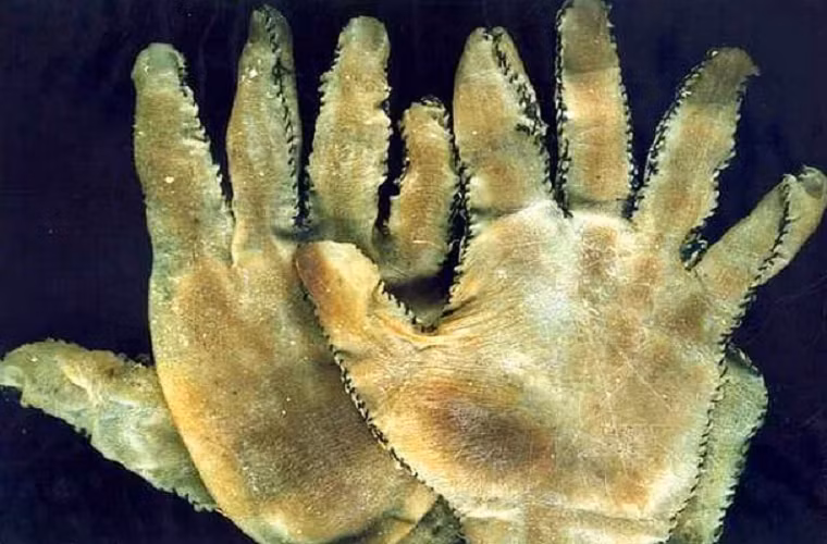 Đây là chiếc găng tay làm từ da của các nạn nhân do Ed Gein - một trong những kẻ giết người hàng loạt khét tiếng nhất lịch sử - thực hiện. Gã sát nhân này đã sát hại nhiều người khiến dư luận hết sức căm phẫn.