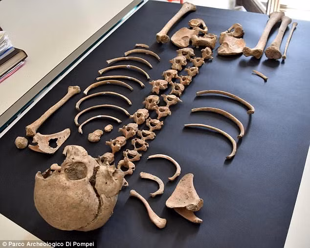 Trong thời gian qua, các chuyên gia, nhà khảo cổ đã phát hiện hơn 1.000 bộ hài cốt tại Pompeii. Những người này tử vong trong nhiều tư thế khác nhau.