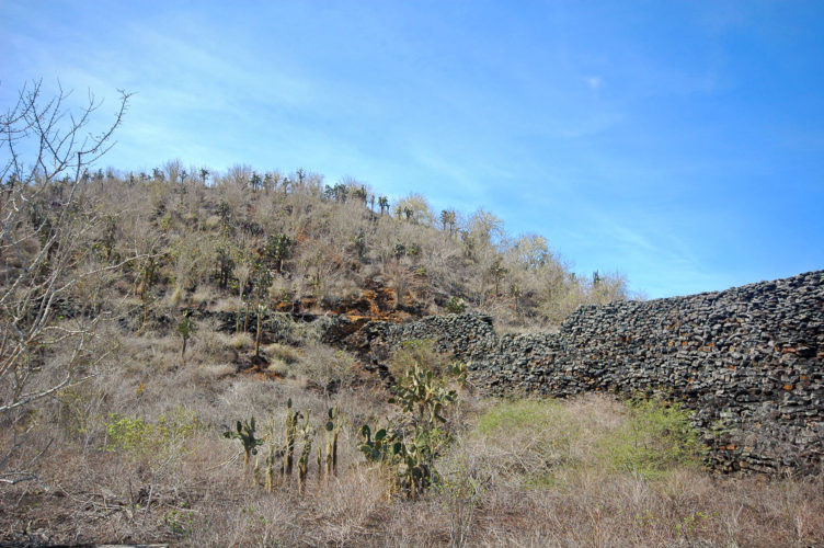 Trước diễn biến của cuộc đảo chính, chính phủ Ecuador tìm mọi cách đàn áp nhưng thất bại. Manuel J.Cobots - người đưa tù nhân và lao động ra đảo, bị chính những người công nhân giết hại. José Valdizian - người cung cấp giống cây trồng cho chính phủ cũng bị giết trong cuộc nổi dậy năm 1878.